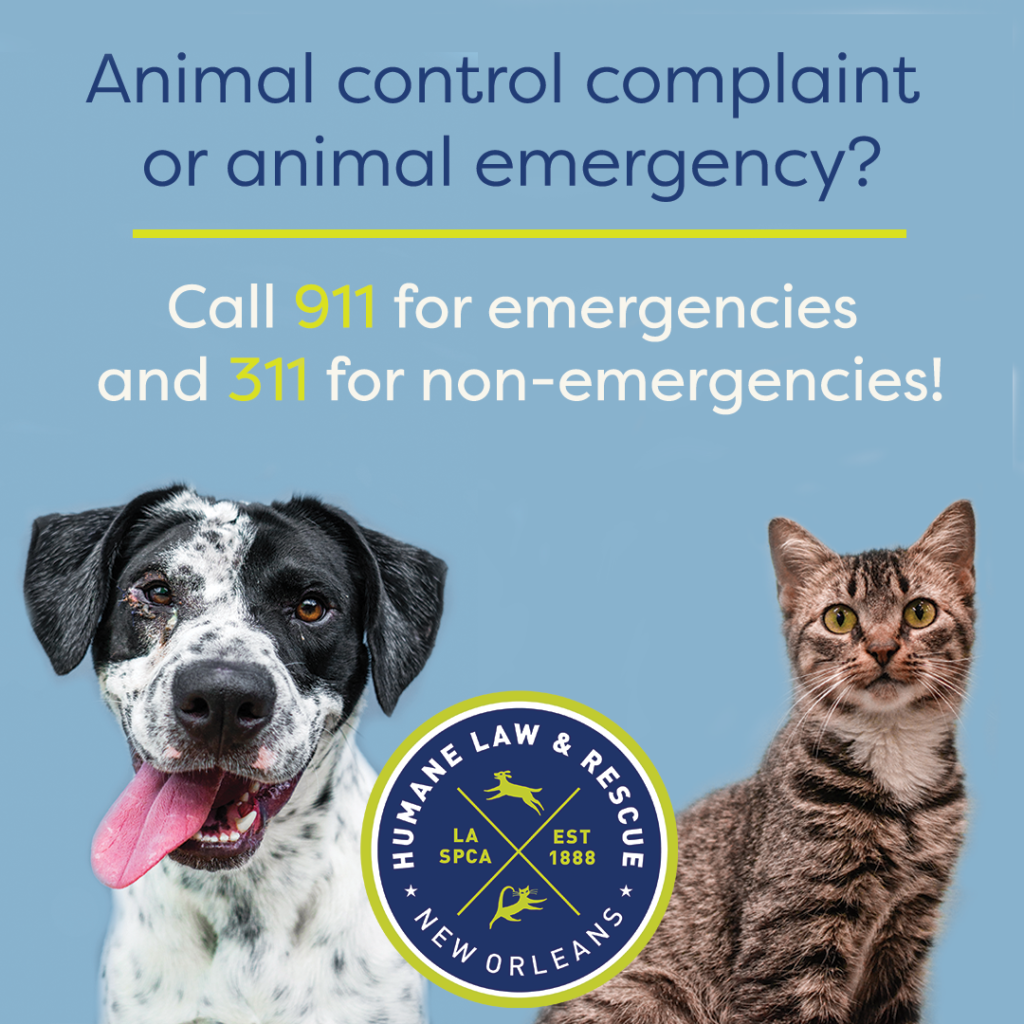 Louisiana SPCA Partners with 911/311 for Animal Control - Louisiana SPCA