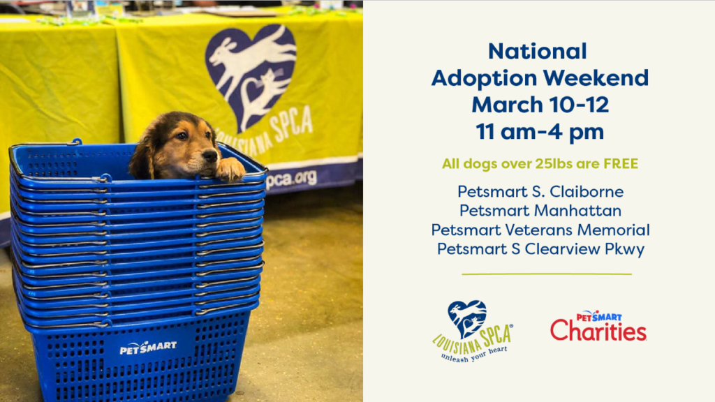PetSmart Charities Adoption Weekend - Louisiana SPCA PetSmart Charities Adoption Weekend - Louisiana SPCA