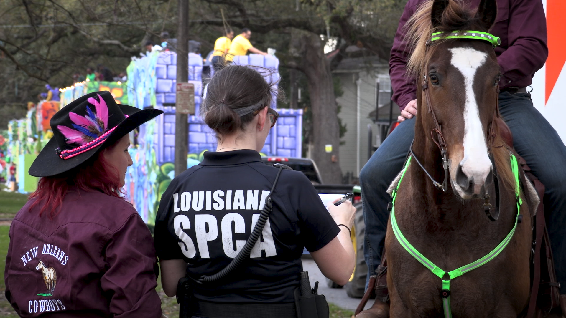 Louisiana SPCA New Orleans Humane Law & Rescue Officer inspecting horses with the New Orleans Cowboys